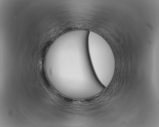 X0000111660703200907171119