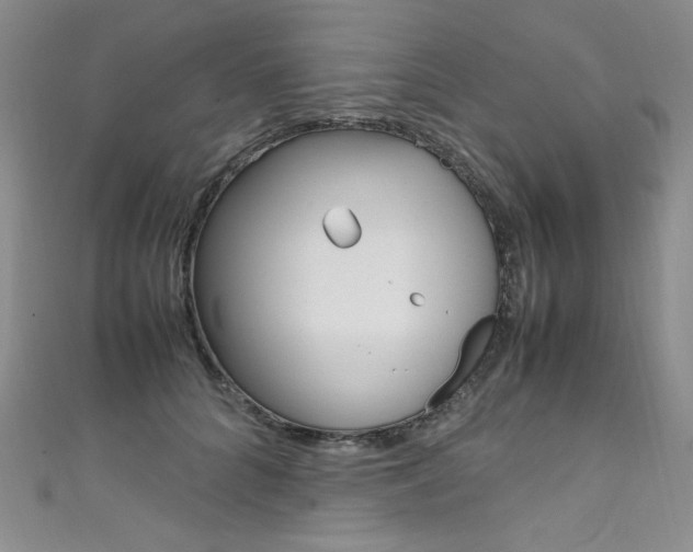 X0000111660704200907171119