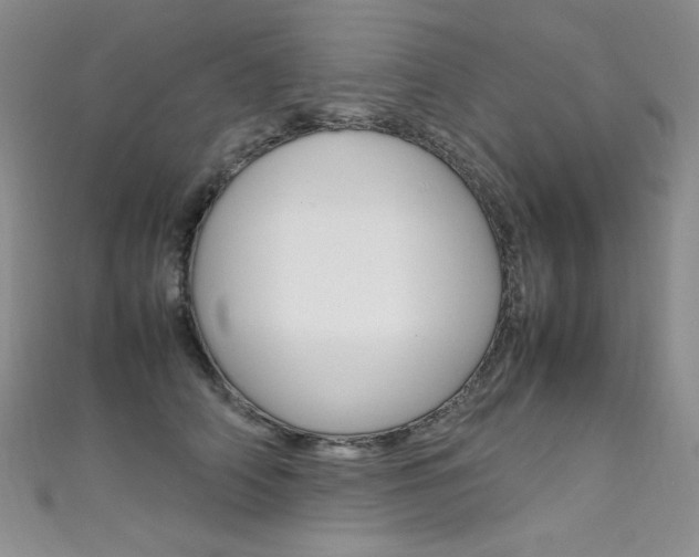X0000111660706200907171119