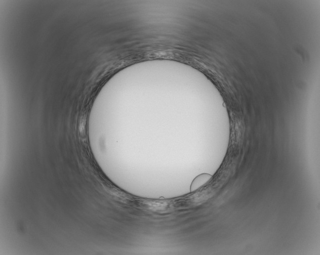X0000111660709200907171119