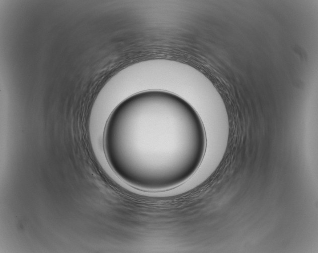 X0000111660711200907171119