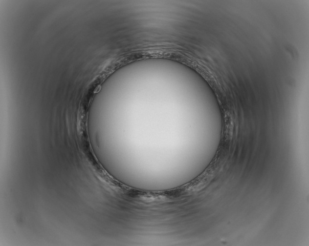 X0000111660712200907171119