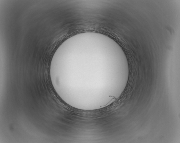 X0000111660720200907171119