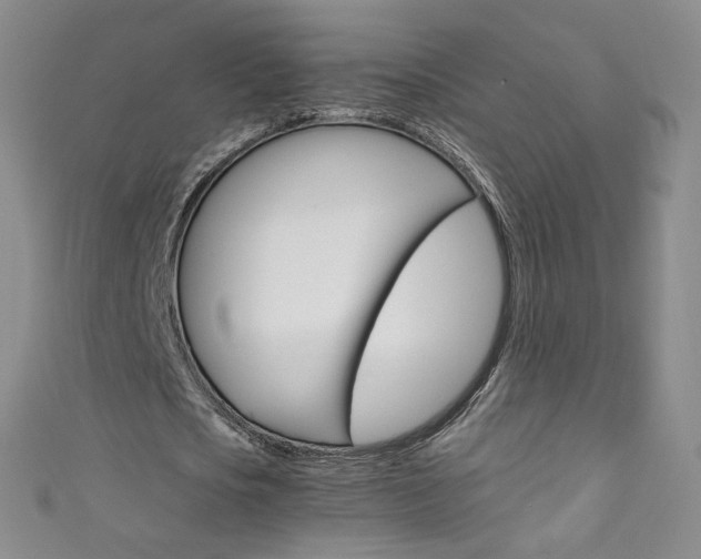X0000111660721200907171118