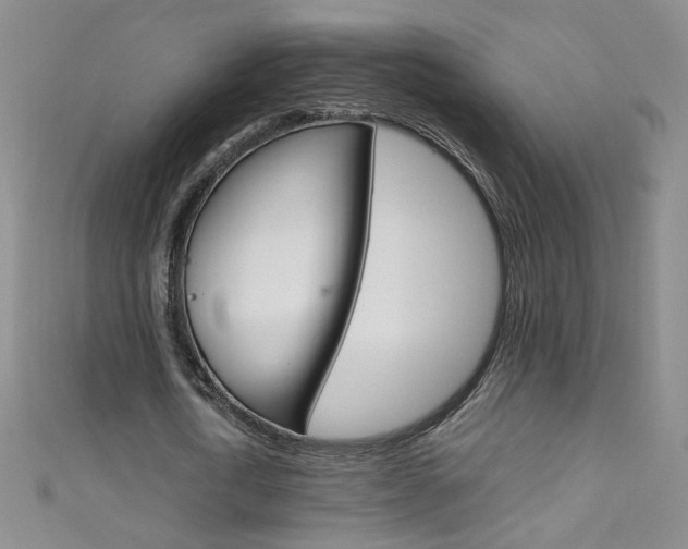 X0000111660722200907171118