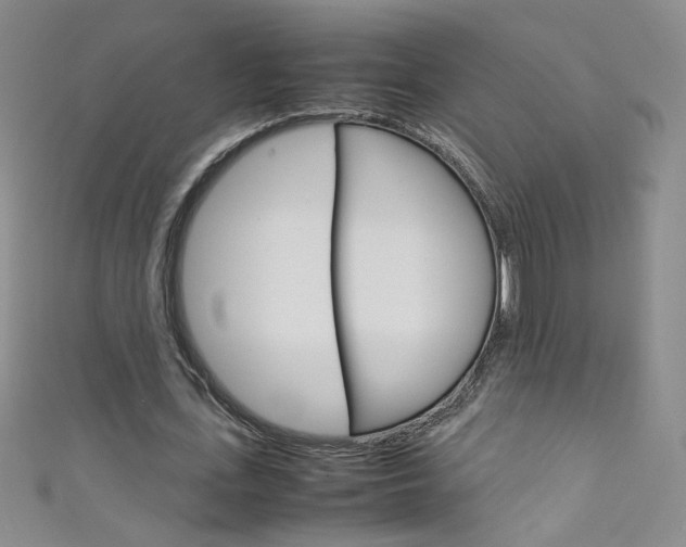 X0000111660723200907171119