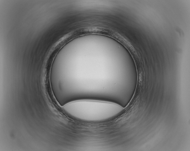 X0000111660724200907171119