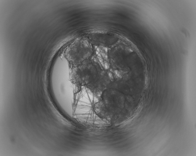 X0000111660725200907171119