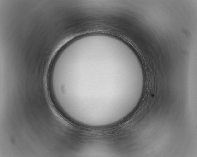 X0000111660726200907171119