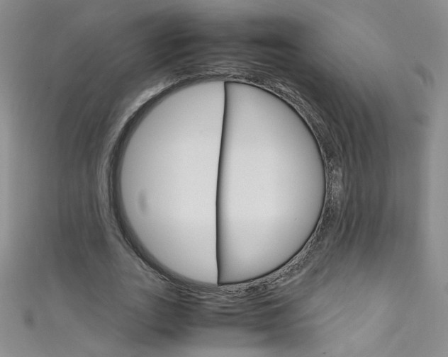 X0000111660727200907171119