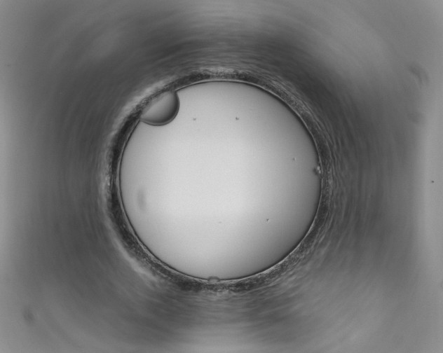 X0000111660728200907171119