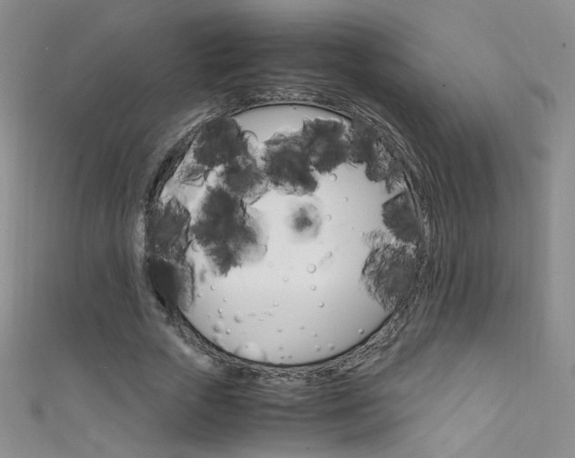 X0000111660729200907171119