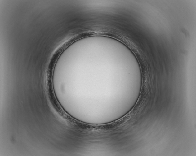 X0000111660730200907171119