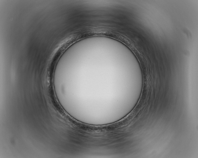 X0000111660731200907171119