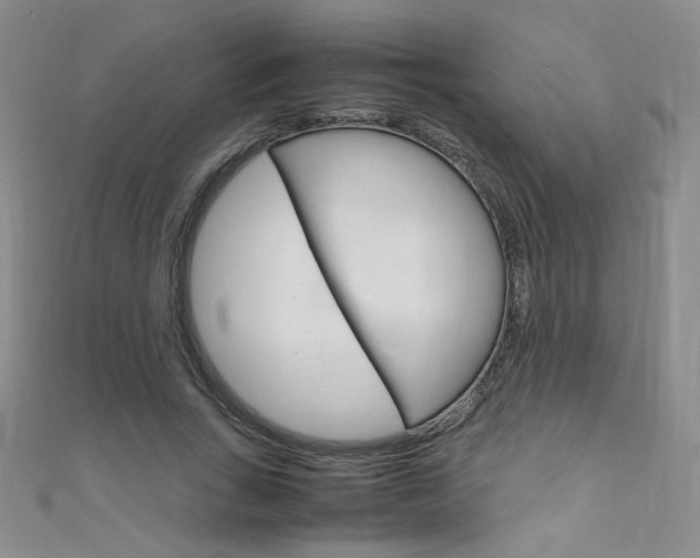 X0000111660735200907171119