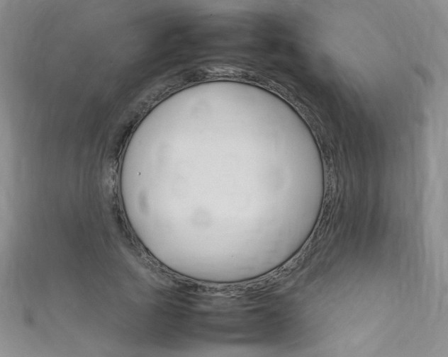 X0000111660737200907171119