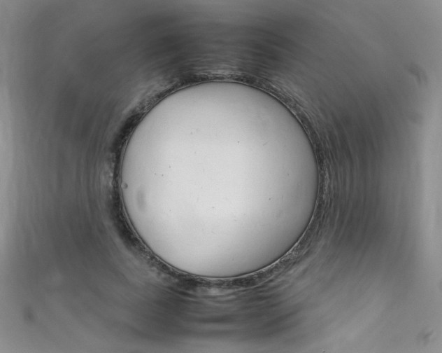 X0000111660739200907171119