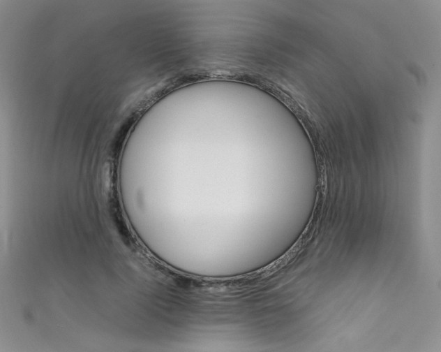 X0000111660740200907171119