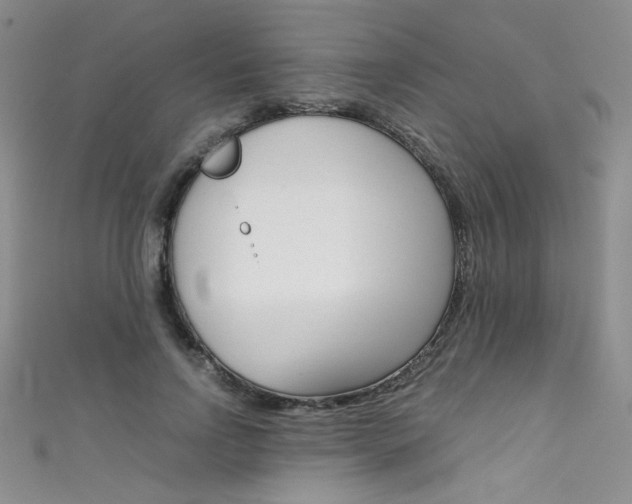 X0000111660742200907171119