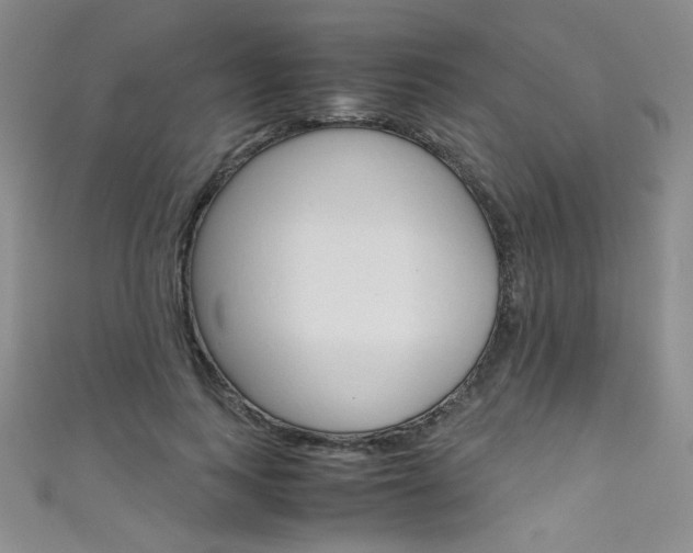 X0000111660743200907171119