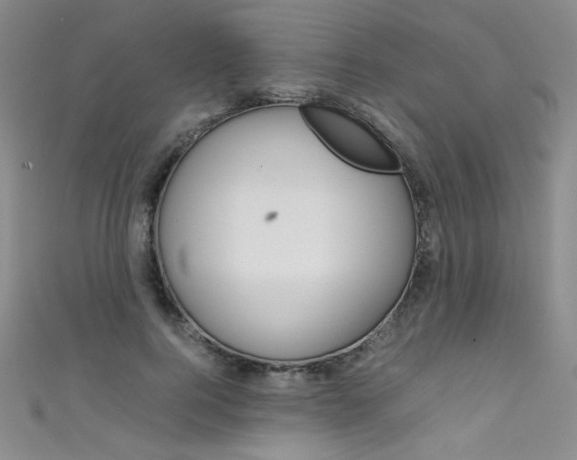 X0000111660744200907171119