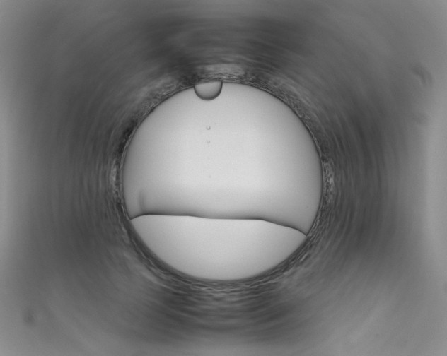 X0000111660745200907171119