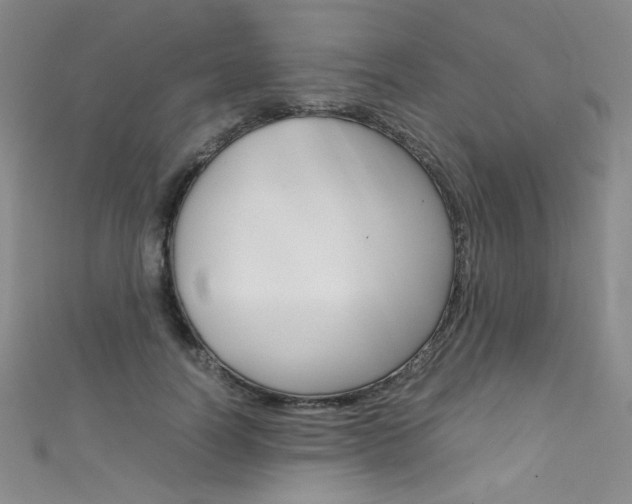 X0000111660746200907171119
