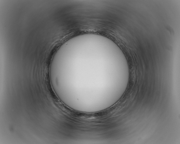 X0000111660747200907171119
