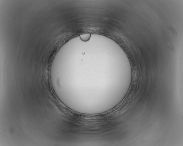 X0000111660749200907171119
