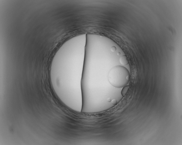 X0000111660751200907171119