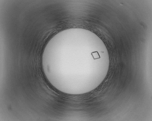 X0000111660756200907171119