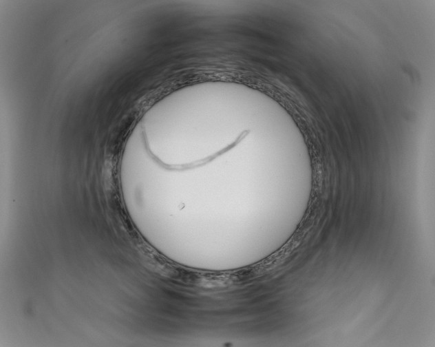 X0000111660757200907171119