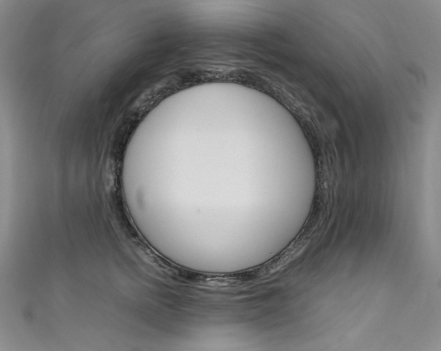 X0000111660758200907171119