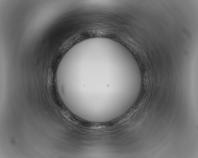 X0000111660760200907171119