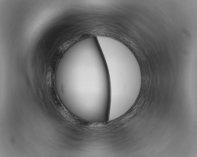 X0000111660762200907171119