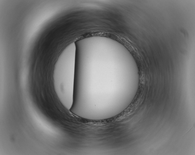 X0000111660763200907171119