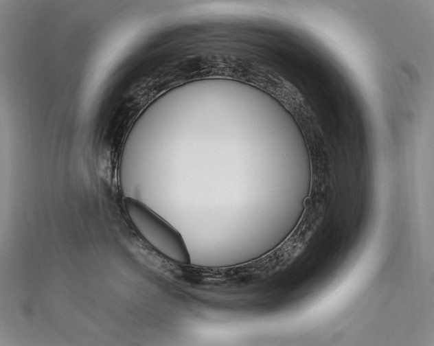 X0000111660766200907171119