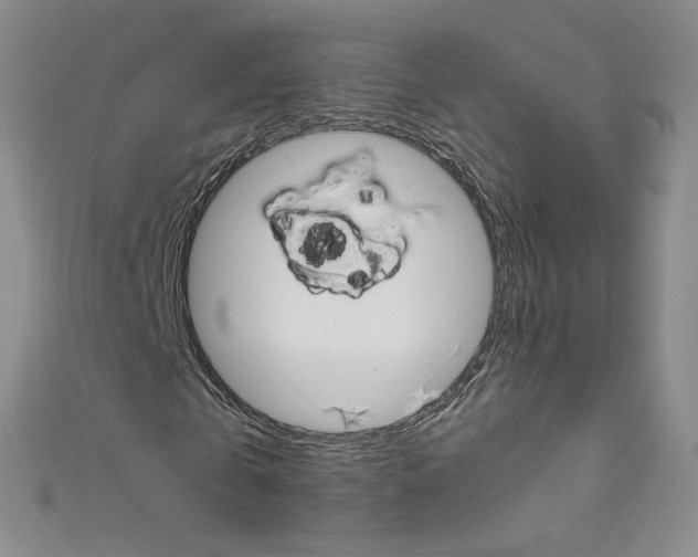 X0000111660769200907171118