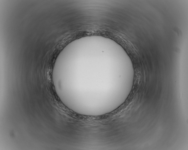 X0000111660770200907171118