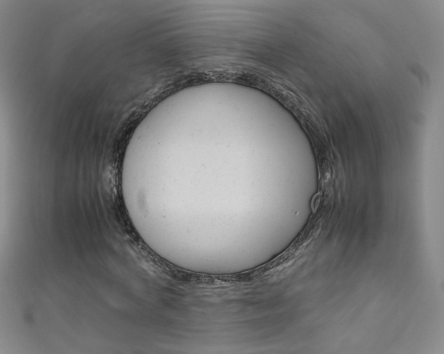 X0000111660772200907171118