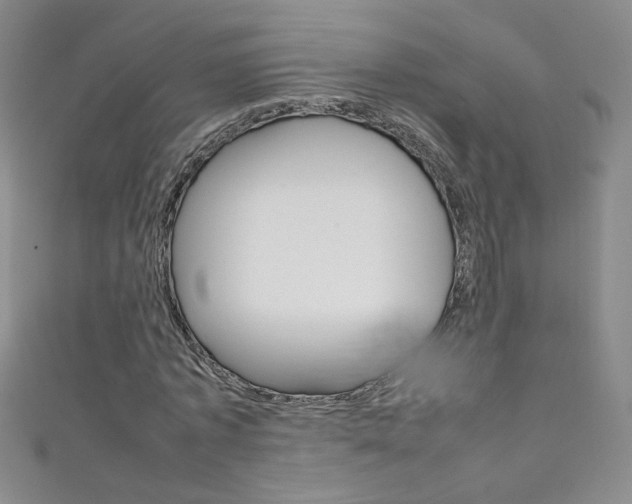 X0000111660773200907171118