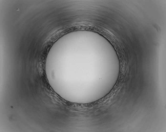 X0000111660774200907171118