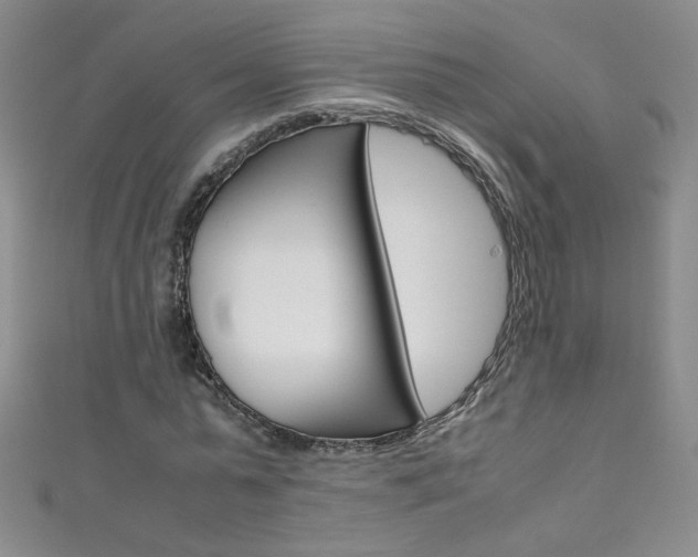 X0000111660775200907171118