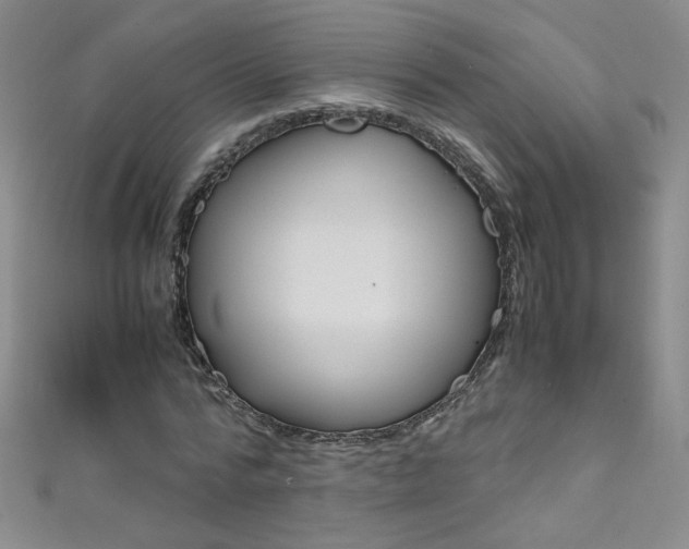 X0000111660776200907171118