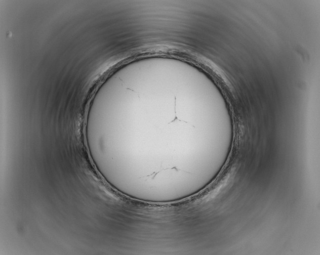 X0000111660778200907171118