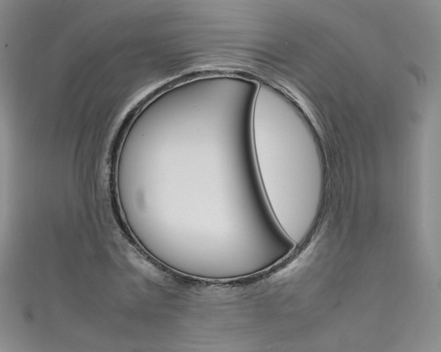 X0000111660779200907171118