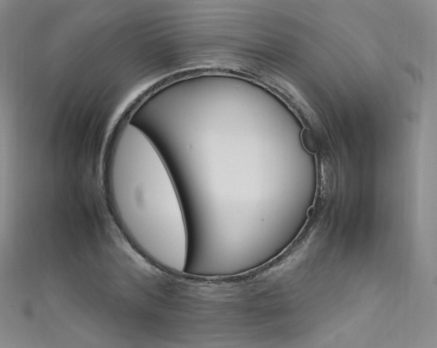 X0000111660780200907171118