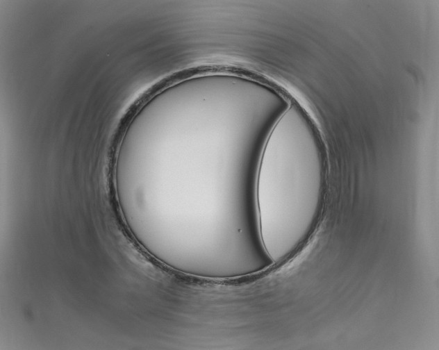 X0000111660783200907171118