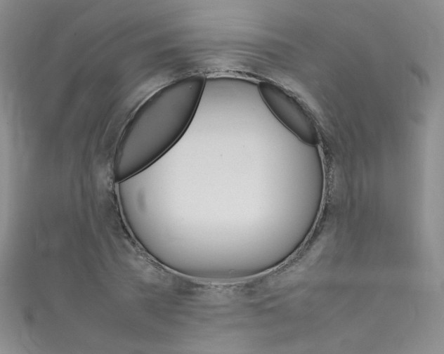 X0000111660785200907171118