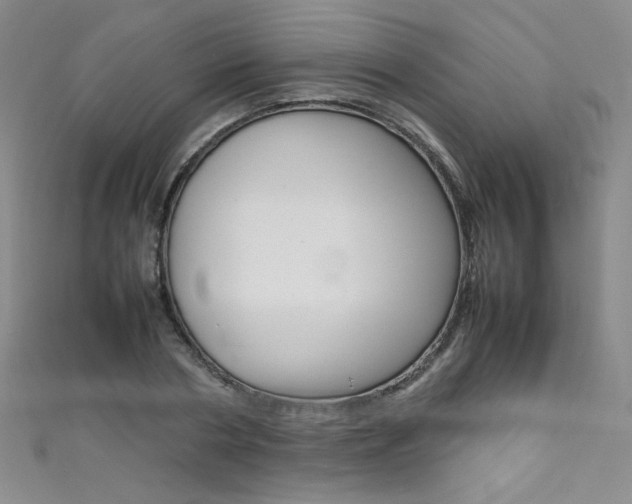 X0000111660786200907171118